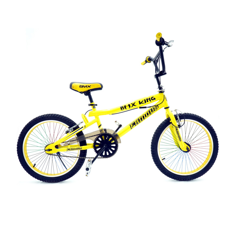 Famous BMX King 2.4T 16 Inch Multicolor