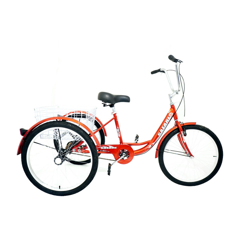 Safari Three Wheeler Tricycle with Rear Basket Multicolor 24 Inch