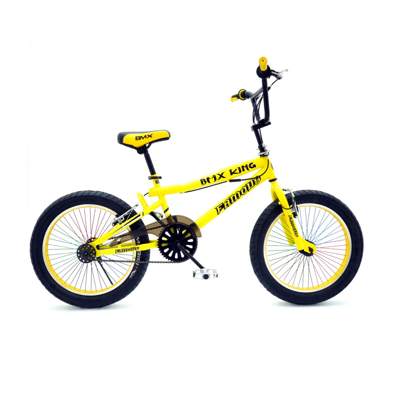 Famous BMX King 3.0T 20 Inch Multicolor