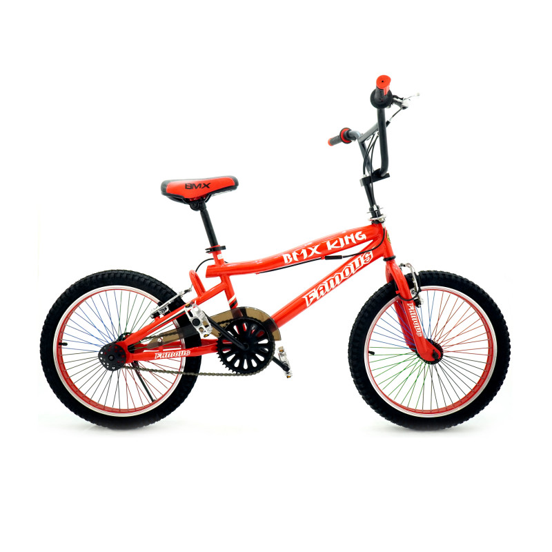Famous BMX King 2.4T 20 Inch Multicolor
