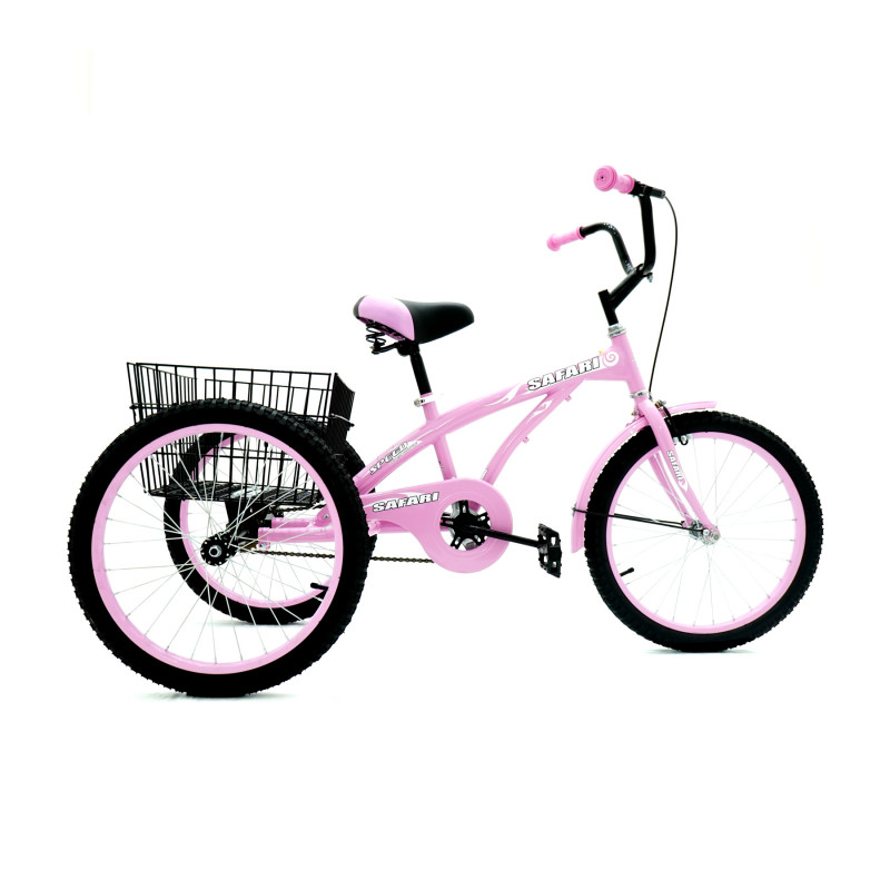 Safari Three Wheeler Tricycle with Rear Basket Multicolor 20 Inch